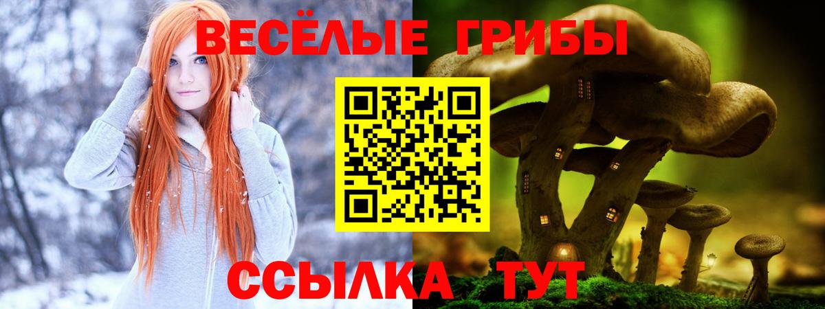Малгобек  Псилоцибиновые грибы MAGIC MUSHROOMS  Вход с VPN  Галлюциногенные грибы прущие грибы 